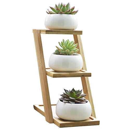 Jusalpha 3.2 Inches Ceramic Round Succulent Plant Pot, Flower Pots...