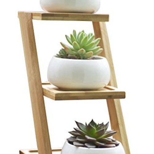 Jusalpha 3.2 Inches Ceramic Round Succulent Plant Pot, Flower Pots...
