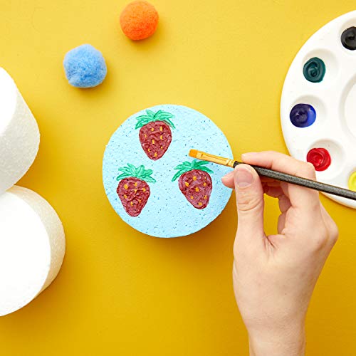 Foam Circles for Crafts 4 x 4 x 2 in, 9 Pack