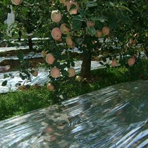 JVSISM 2PCS Reflective Mylar Film Garden Greenhouse Covering Foil ...