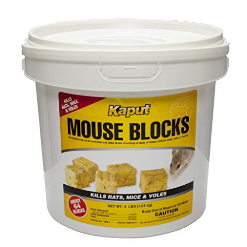 Kaput Mouse Blocks - 8lb. Bucket Kill Mouse 71110