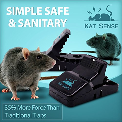 Kat Sense Pest Control Rat Mouse Traps 12 Pack, Humane Rat Trap ...