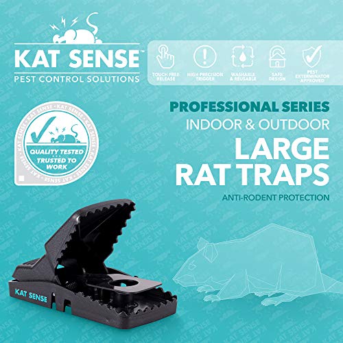 Kat Sense Pest Control Rat Mouse Traps 12 Pack, Humane Rat Trap ...
