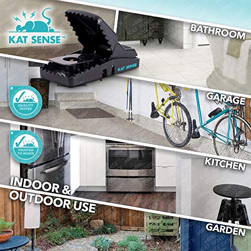 Kat Sense Pest Control Rat Mouse Traps 12 Pack, Humane Rat Trap ...
