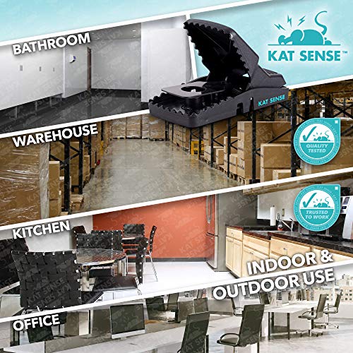 Kat Sense Pest Control Rat Mouse Traps 12 Pack, Humane Rat Trap ...
