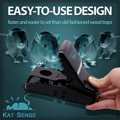 Kat Sense Pest Control Rat Mouse Traps 12 Pack, Humane Rat Trap ...