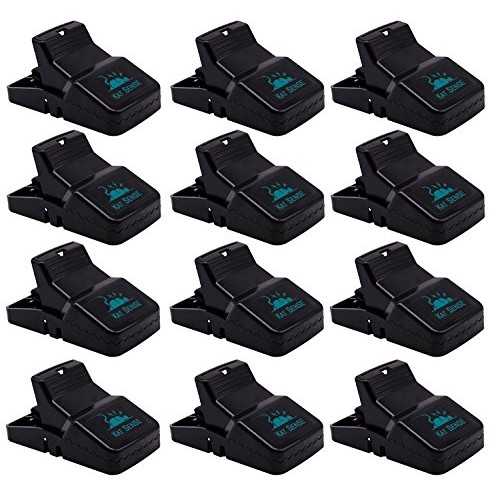 Kat Sense Pest Control Rat Mouse Traps 12 Pack, Humane Rat Trap ...