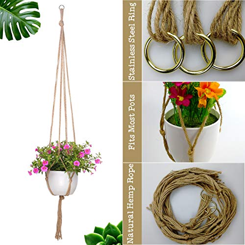 6 Pack Plant Hangers Simple Design Flower Pots Holder with 6 Hooks...