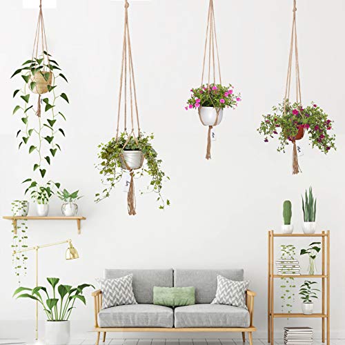6 Pack Plant Hangers Simple Design Flower Pots Holder with 6 Hooks...
