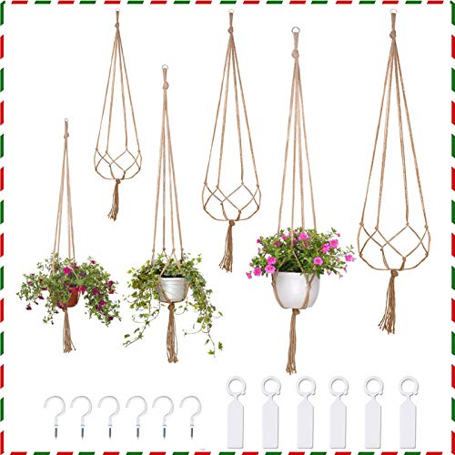 6 Pack Plant Hangers Simple Design Flower Pots Holder with 6 Hooks...