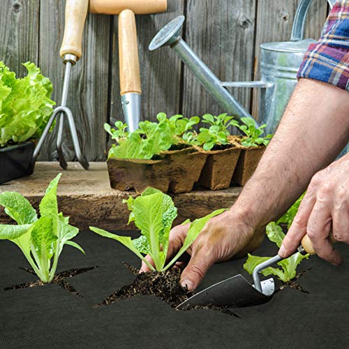 Keeswin 31.5in x 100ft Heavy Duty Garden Weed Barrier, Garden Land...