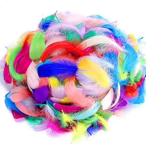600PCS Colorful Feathers DIY Crafting Feathers for Wedding and Par...