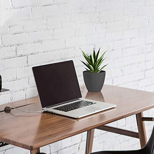 6 Inch Plastic Planters Indoor Set of 5 Flower Plant Pots Modern D...