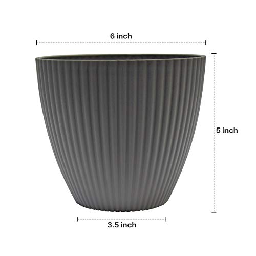 6 Inch Plastic Planters Indoor Set of 5 Flower Plant Pots Modern D...