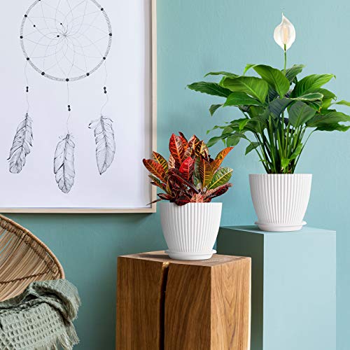 6 inch Plastic Planters with Saucers, Indoor Flower Plant Pots, Se...