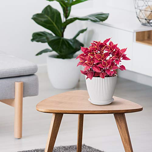 6 inch Plastic Planters with Saucers, Indoor Flower Plant Pots, Se...