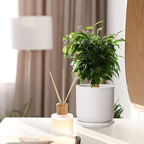 Ceramic Plant Pots with Drainage Holes and Saucers, 5 Inch Flower ...