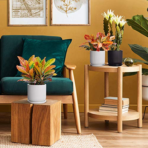 Ceramic Plant Pots with Drainage Holes and Saucers, 5 Inch Flower ...