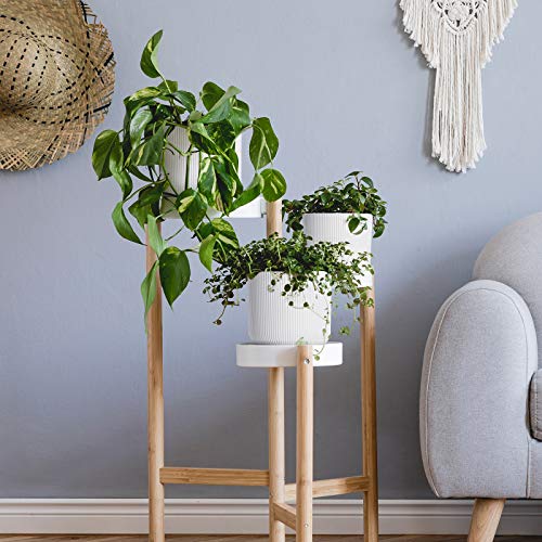 Ceramic Plant Pots with Drainage Holes and Saucers, 5 Inch Flower ...