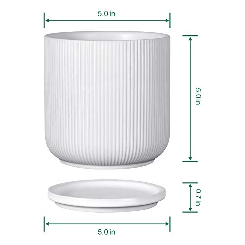 Ceramic Plant Pots with Drainage Holes and Saucers, 5 Inch Flower ...