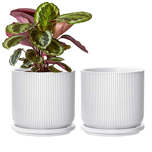 Ceramic Plant Pots with Drainage Holes and Saucers, 5 Inch Flower ...