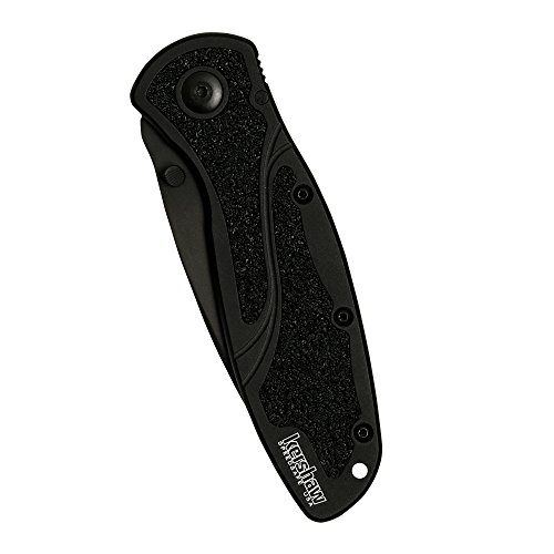 Kershaw Blur Black 1670BLK Everyday Carry Pocketknife with 3.4” ...