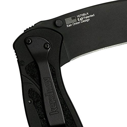Kershaw Blur Black 1670BLK Everyday Carry Pocketknife with 3.4” ...