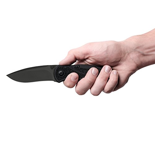 Kershaw Blur Black 1670BLK Everyday Carry Pocketknife with 3.4” ...
