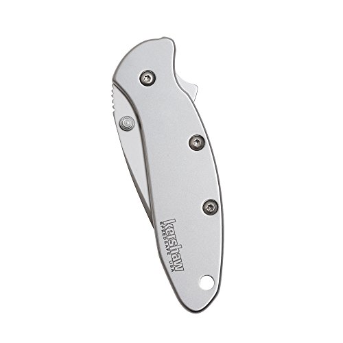 Kershaw Chive Pocket Knife 1600; 1.9” 420HC Steel Blade with 410...