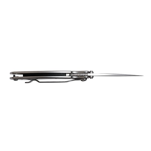 Kershaw Chive Pocket Knife 1600; 1.9” 420HC Steel Blade with 410...