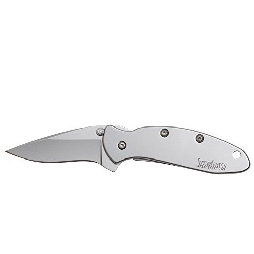 Kershaw Chive Pocket Knife 1600; 1.9” 420HC Steel Blade with 410...