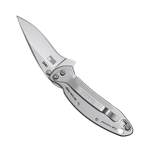 Kershaw Chive Pocket Knife 1600; 1.9” 420HC Steel Blade with 410...