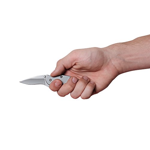 Kershaw Chive Pocket Knife 1600; 1.9” 420HC Steel Blade with 410...