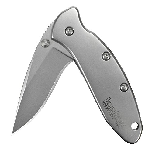 Kershaw Chive Pocket Knife 1600; 1.9” 420HC Steel Blade with 410...