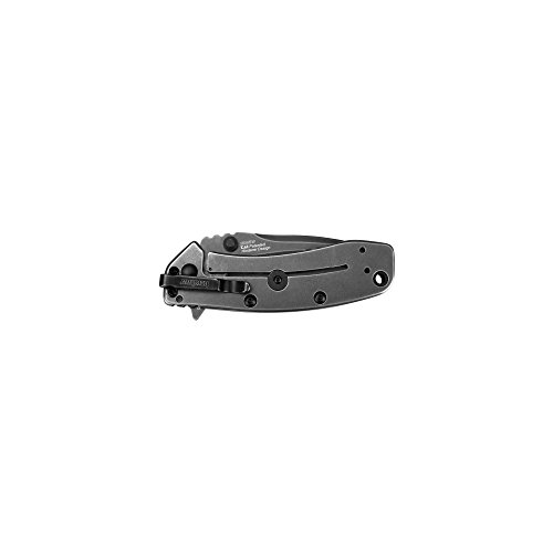 Kershaw Cryo II BlackWash Pocket Knife 1556BW, 3.25” 8Cr13MoV St...