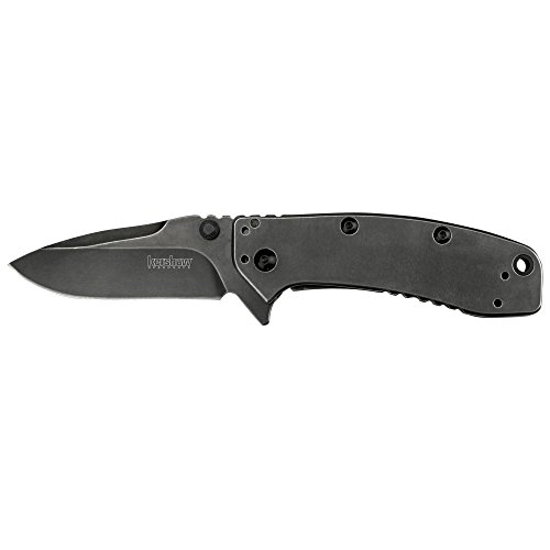 Kershaw Cryo II BlackWash Pocket Knife 1556BW, 3.25” 8Cr13MoV St...