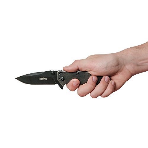 Kershaw Cryo II BlackWash Pocket Knife 1556BW, 3.25” 8Cr13MoV St...