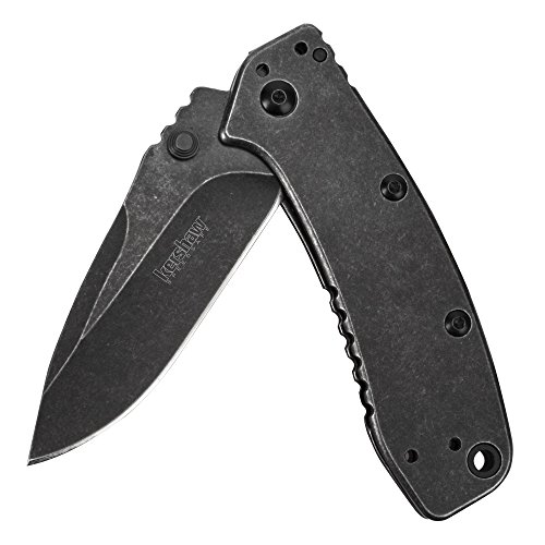 Kershaw Cryo II BlackWash Pocket Knife 1556BW, 3.25” 8Cr13MoV St...