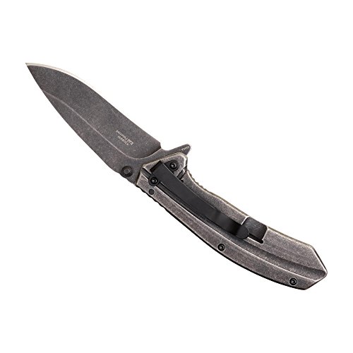 Kershaw Filter 1306BW Folding Pocket Knife with 3.2-Inch BlackWa...
