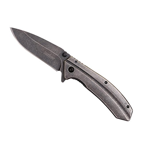 Kershaw Filter 1306BW Folding Pocket Knife with 3.2-Inch BlackWa...