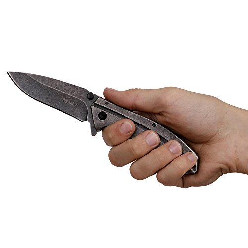 Kershaw Filter 1306BW Folding Pocket Knife with 3.2-Inch BlackWa...
