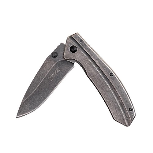 Kershaw Filter 1306BW Folding Pocket Knife with 3.2-Inch BlackWa...