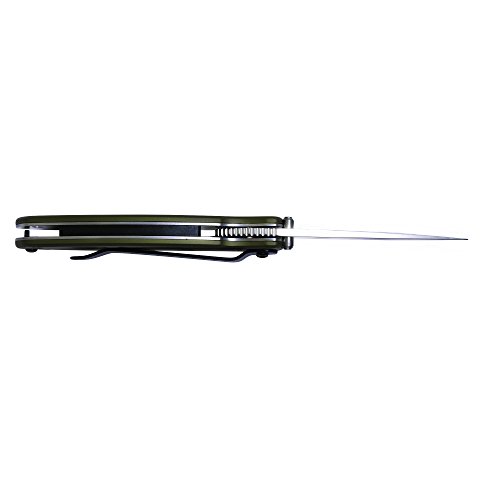 Kershaw Scallion, Olive Drab Pocket Knife 1620OL; 2.4” Bead-Blas...