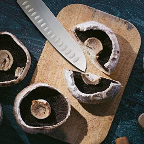 Kessaku 8-Inch Santoku Knife - Senshi Series - Japanese AUS-8 HC S...