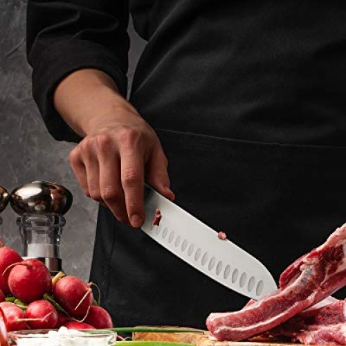 Kessaku 8-Inch Santoku Knife - Senshi Series - Japanese AUS-8 HC S...