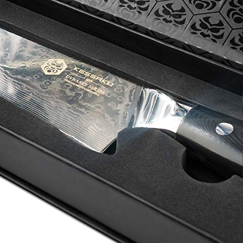 Kessaku Chef Knife - Damascus Dynasty Series - 67-Layer AUS-10V Ja...