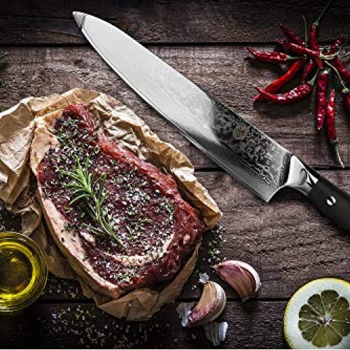 Kessaku Chef Knife - Damascus Dynasty Series - 67-Layer AUS-10V Ja...
