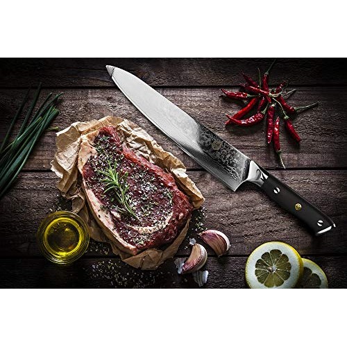 Kessaku Chef Knife - Damascus Dynasty Series - 67-Layer AUS-10V Ja...