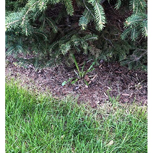 Keyfit Tools AccuTip Weed Killer 4 Pack Fits On Lawn/Garden Pump...