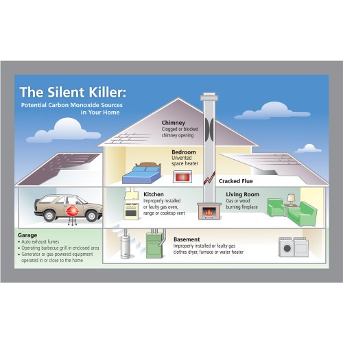Nighthawk Plug-in Carbon Monoxide & Explosive Gas Alarm with Digit...